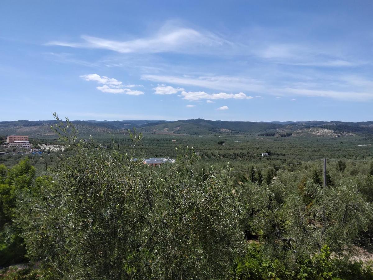 Villa Rinaldi Apartment Vieste Zewnętrze zdjęcie