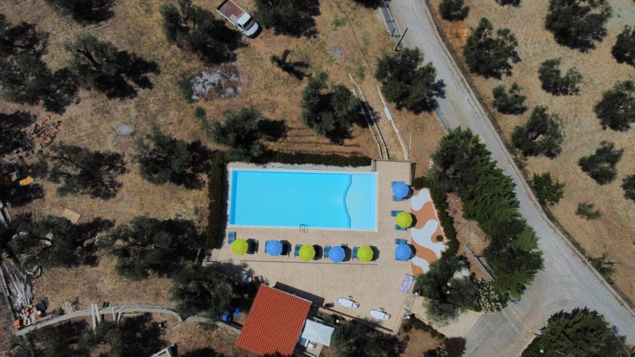 Villa Rinaldi Apartment Vieste Zewnętrze zdjęcie